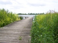 Dobbin-Serrahn-Krakow am See